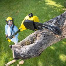  , USA Tree Removal and Landscaping Services Pros